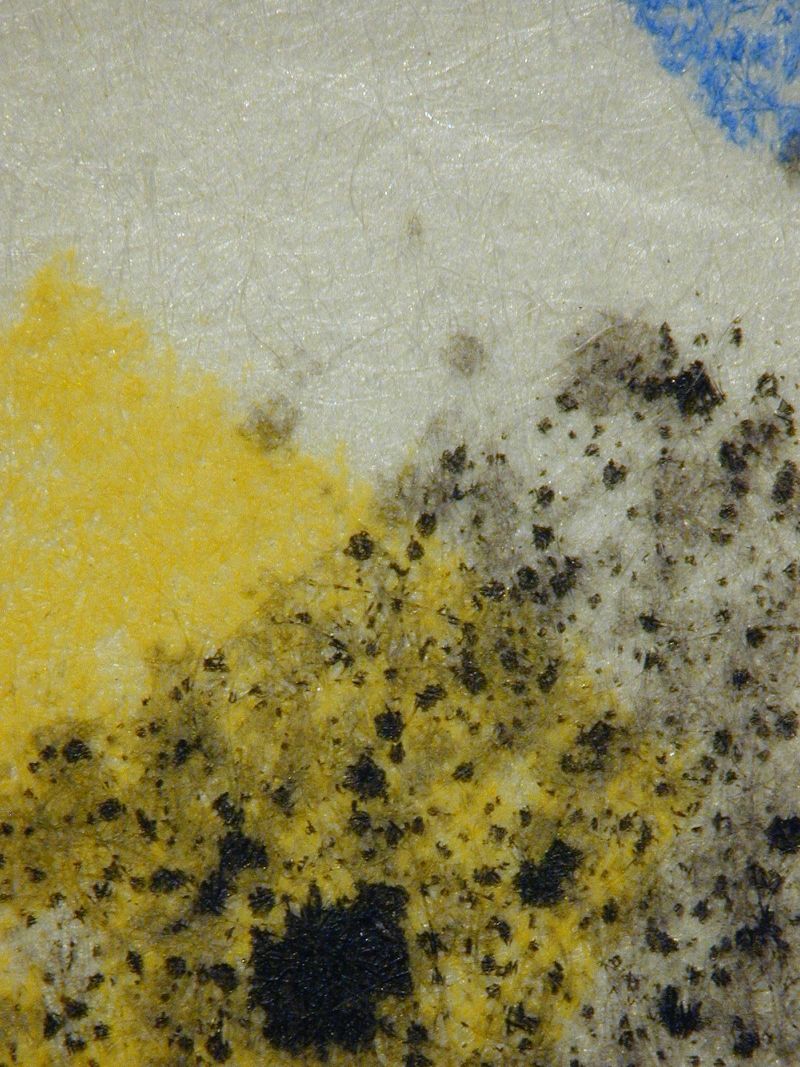 Don Quichotte en lecteur