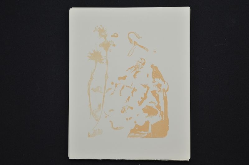 S/T (Saint Jacques et l'Espérance)