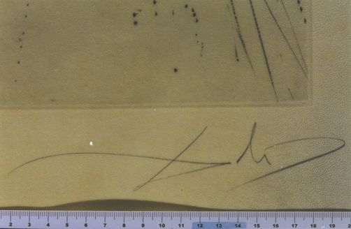 Alexandre le regarda avec des yeux courroucés, et le cheval s'agenouilla ...