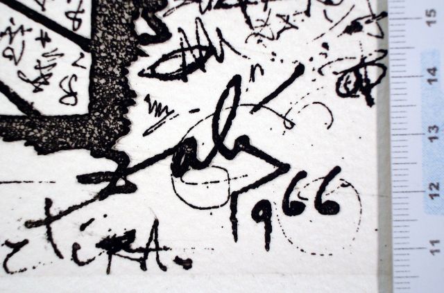 Retrato de las firmas