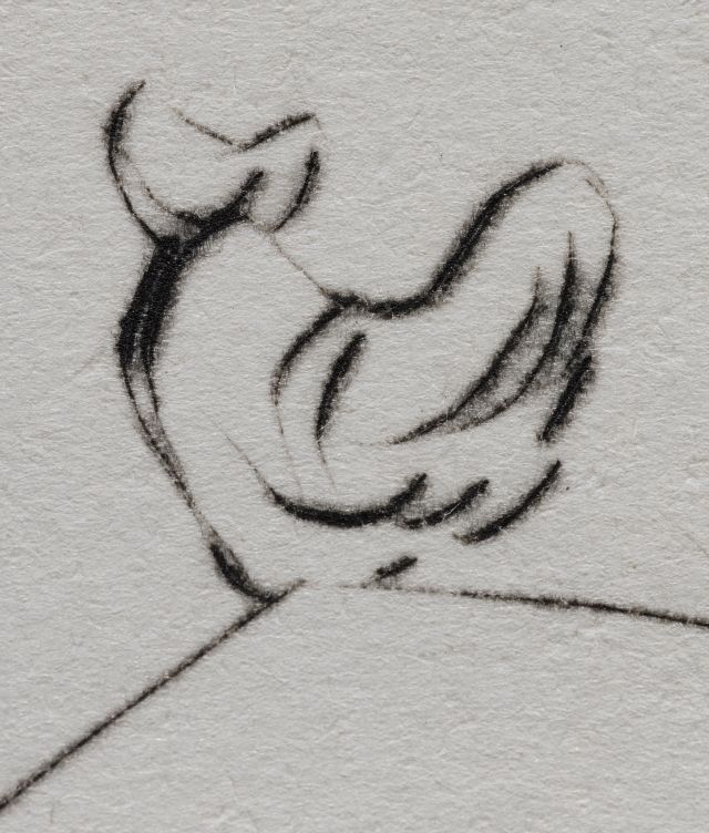 Le cercle viscéral du cosmos