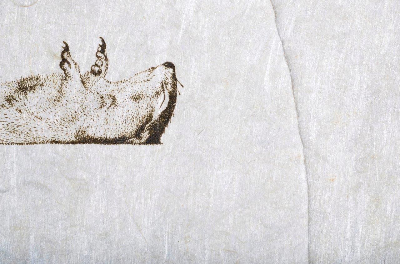 L'homme rescuscité par l'holographie de l'écureuil