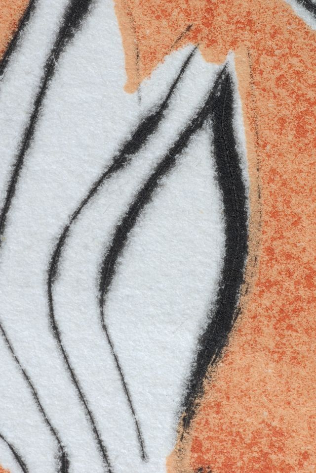 Papillons de l'anti-matière