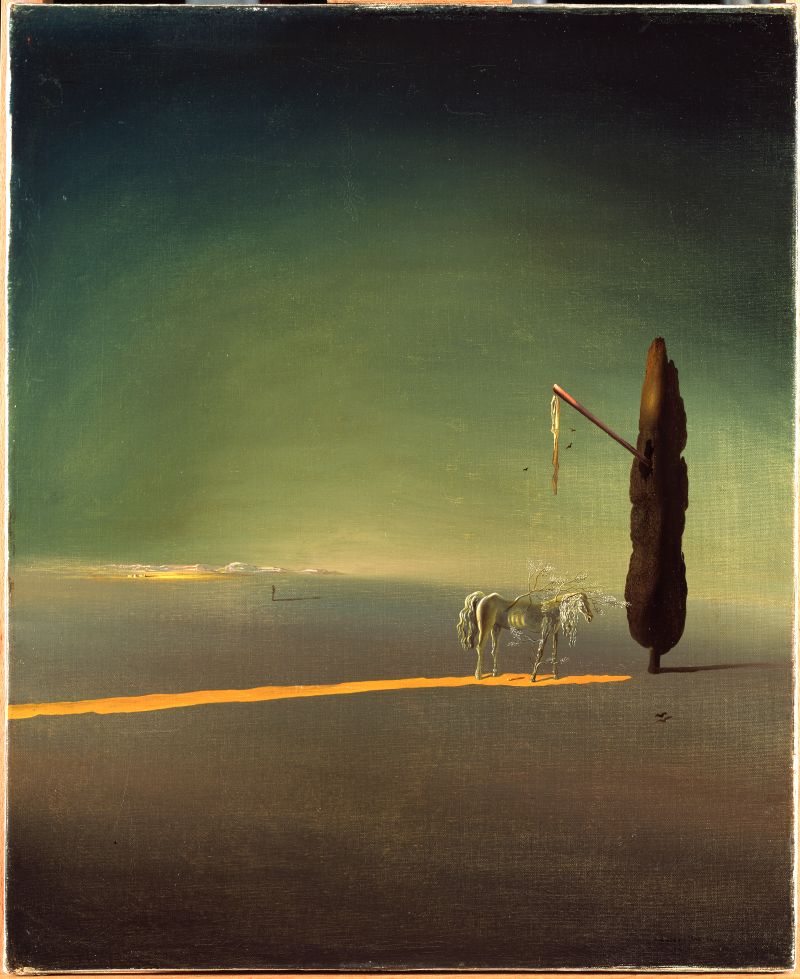 Eclipsi i osmosi vegetal