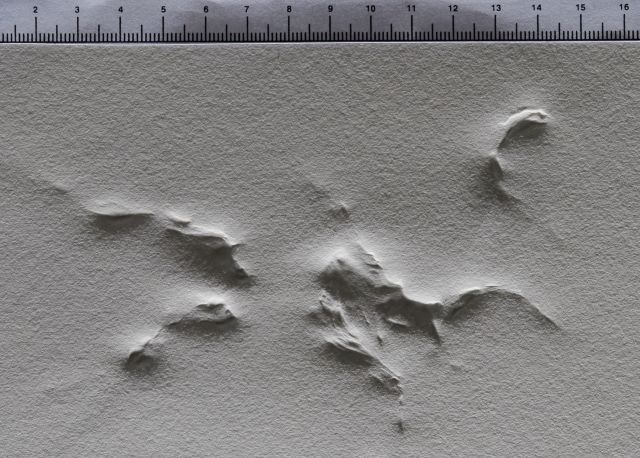 Vision planétaire et scatologique