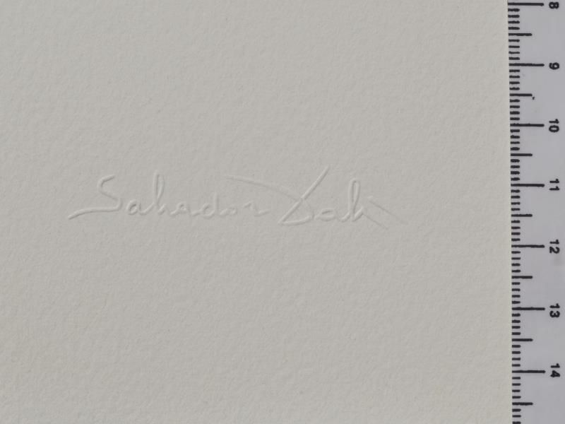 Ultra Surrealistic corpusclaire Galutska