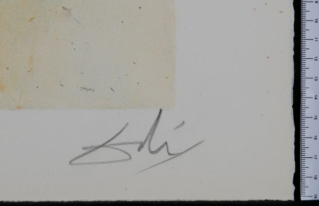 The Land of the start of Jewish Settlement