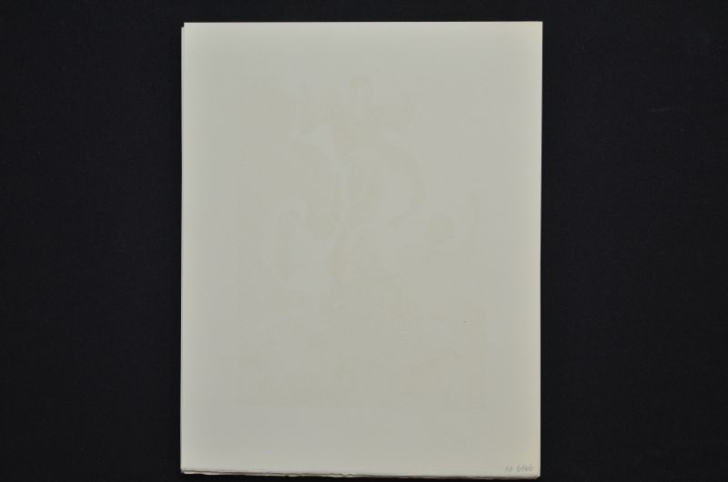 S/T (Le Premier ciel)