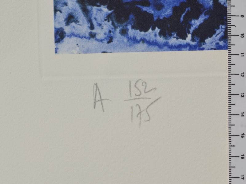 Ultra Surrealistic corpusclaire Galutska