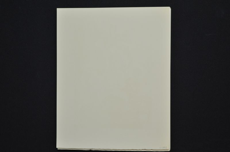 S/T (Le Premier ciel)