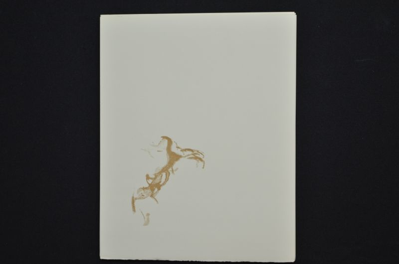 S/T (Le Premier ciel)