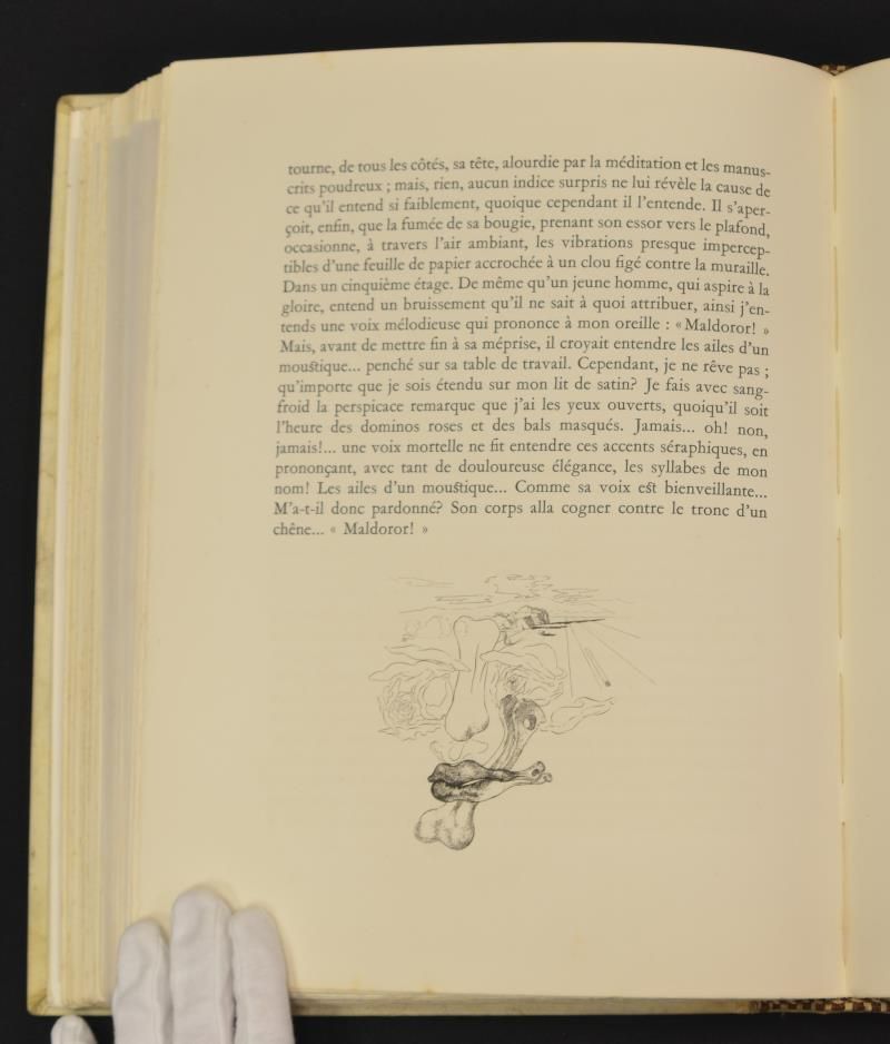 S/T Vinyeta Final Quart Cant