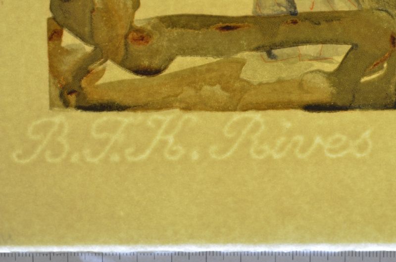 La Fôret des suicidés