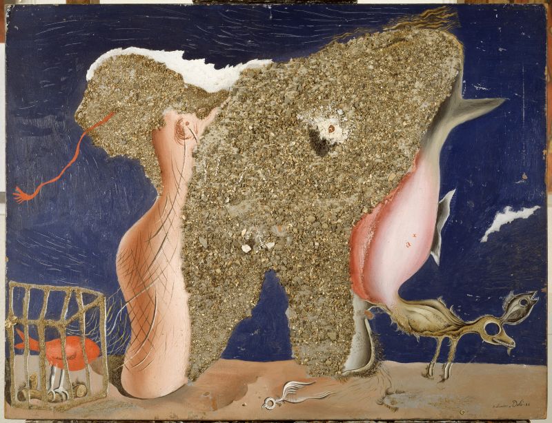 Simbiosi dona-animal