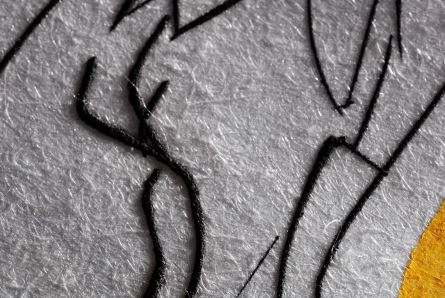 Dahlia Unicornis (Dahlia)