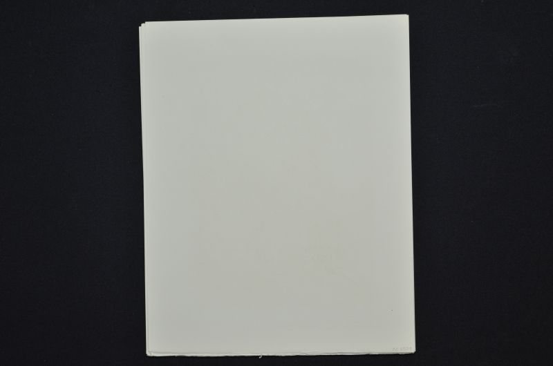 Dante recouvre la vue