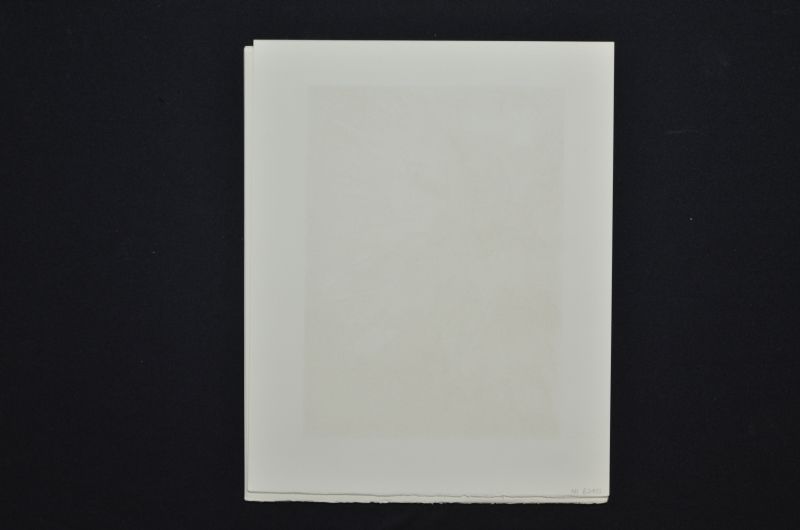 Les anges gardiens de la Vallée