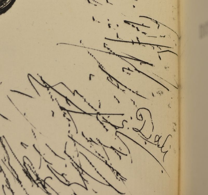 Cours naturelFrontispici