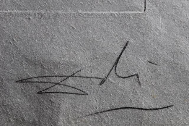 Dahlia Unicornis (Dahlia)