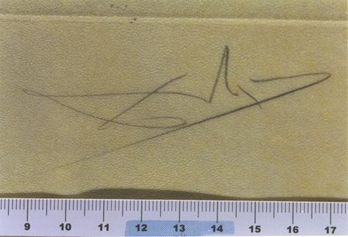 Le désert avec sa piste d'orfèvreries abandonnées et d'ossements ...