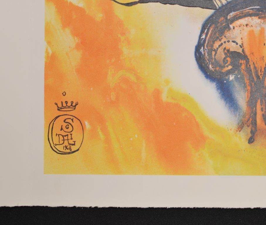 Down the rabbit hole