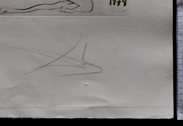 L'unicorne laser désintégre les cornes de rhinoceros cosmique