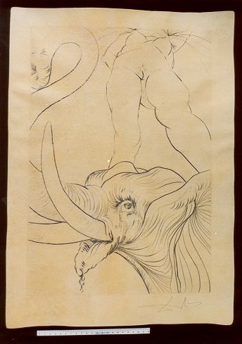 Maintenant, c'est le soir et tout le fleuve est gardé par les elephants ...