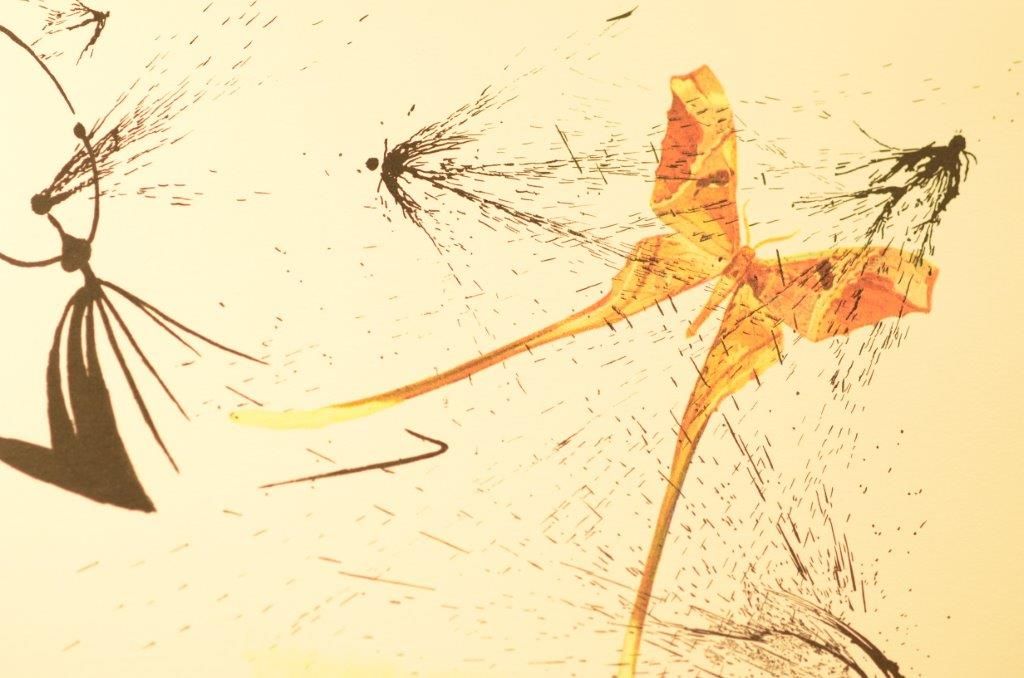 The mock turtle's story