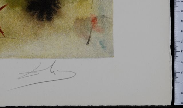 The Land Come to Life