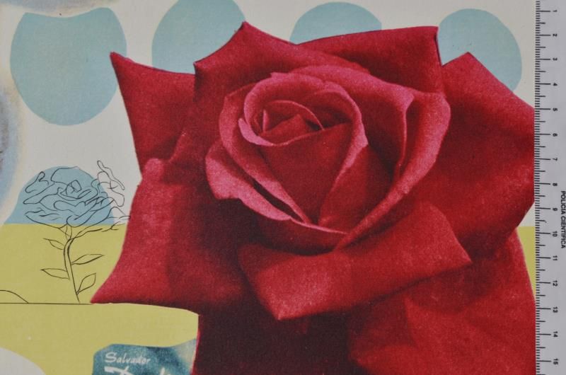 Surrealistic flower girl