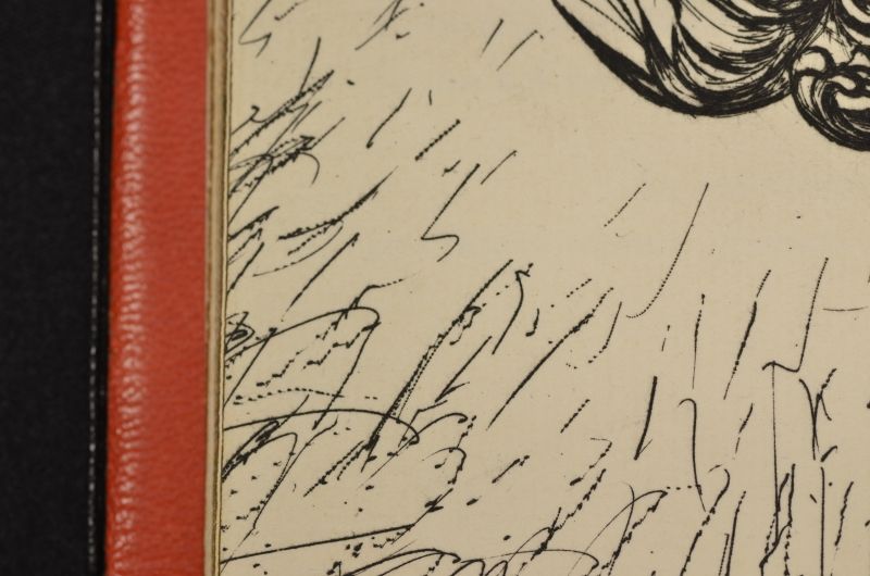 Cours naturelFrontispici