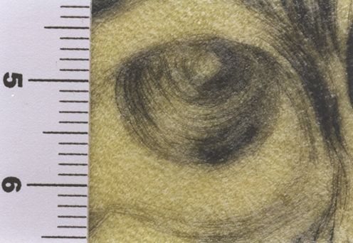 Maintenant, c'est le soir et tout le fleuve est gardé par les elephants ...