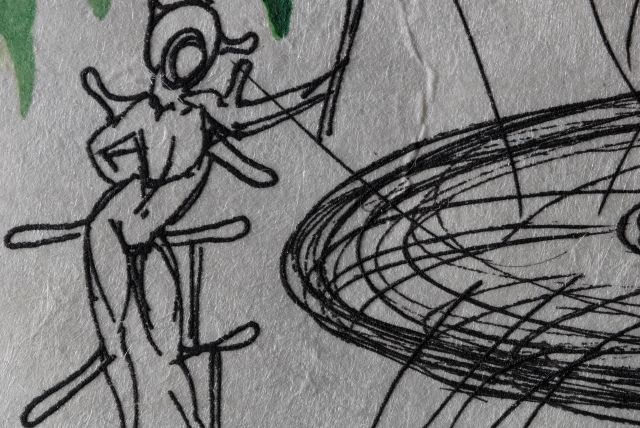 Chrysanthemum frutescens ( Marguerite )