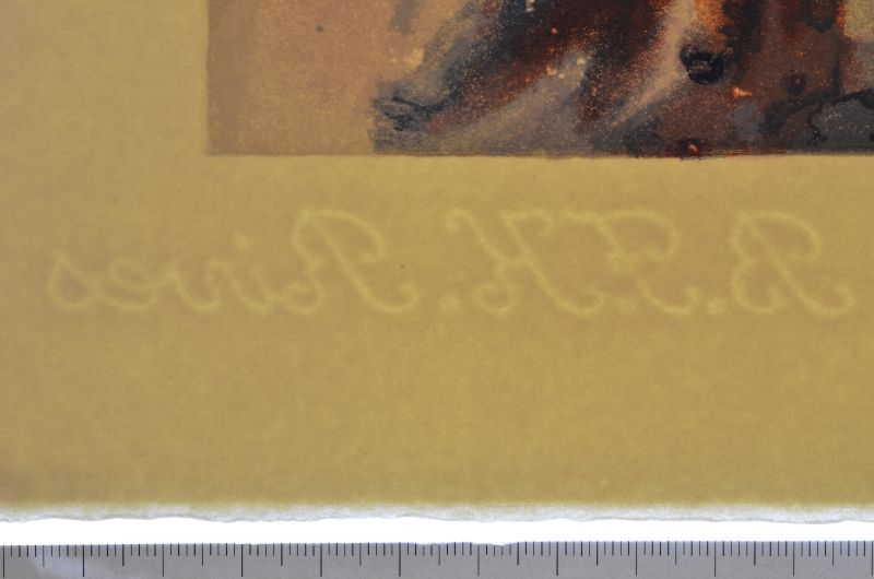 Ainsi fut créé la terre