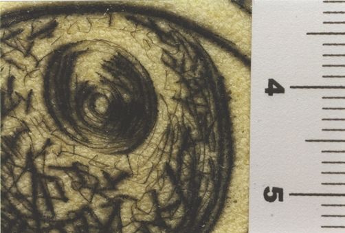 Comment sont ses yeux ? Tiens, un bleu et un noir - Alexandre de Macédoine