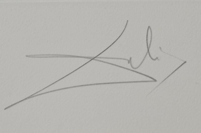 Surrealistic portrait of Dali surrounded by butterflies