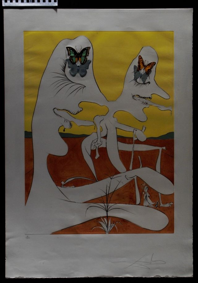 Papillons de l'anti-matière