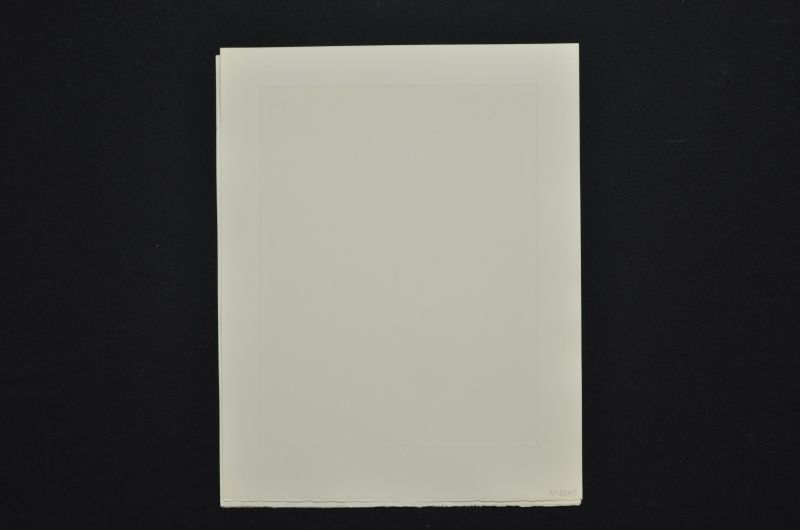 La beauté des sculptures