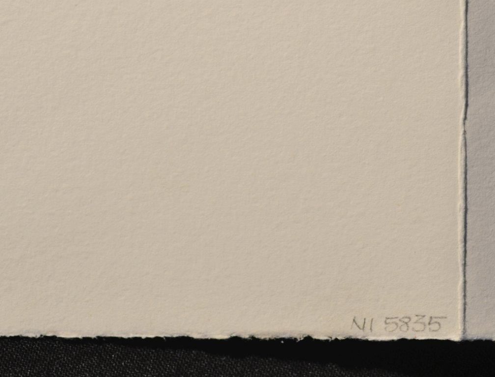 Down the rabbit hole