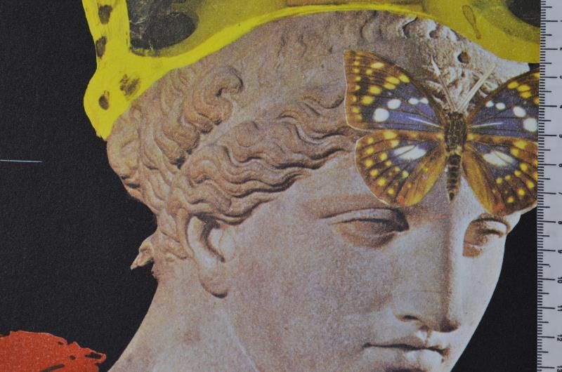 Crazy, crazy, crazy, Minerva