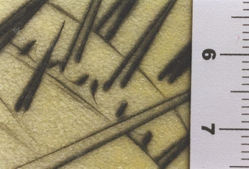 Il y a des soldats tout hérissés de points de fer comme les chataignes ils portent des faux ...