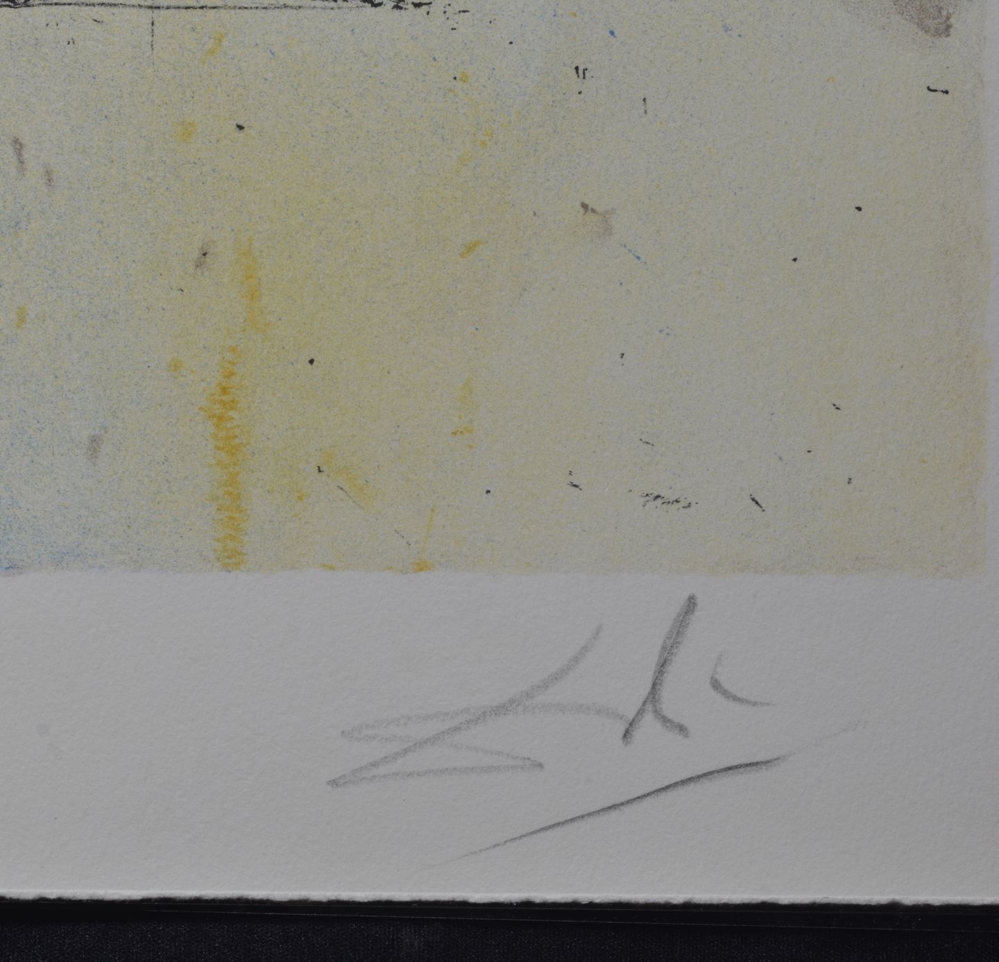 The Land of the start of the Jewish Settlement