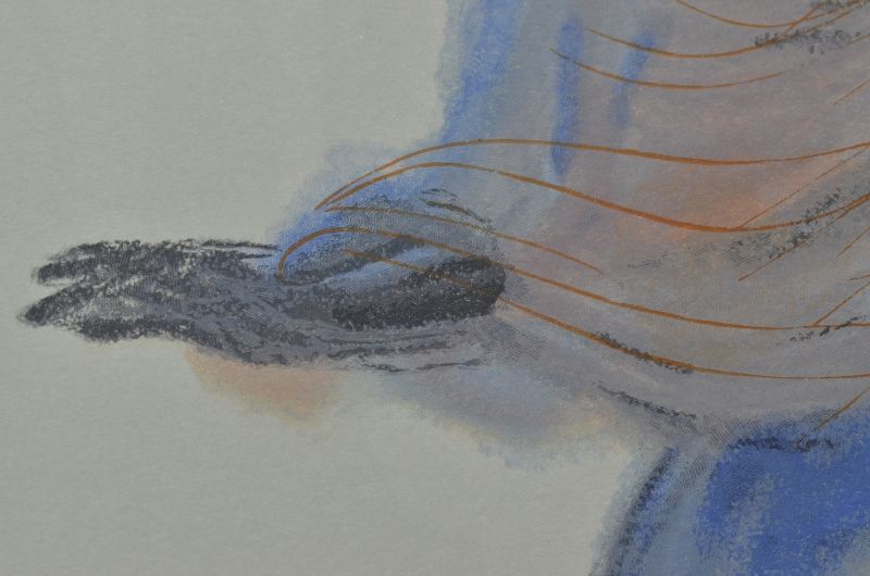 Le splendeur de Béatrice