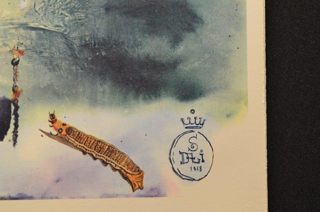 The lobster quadrille