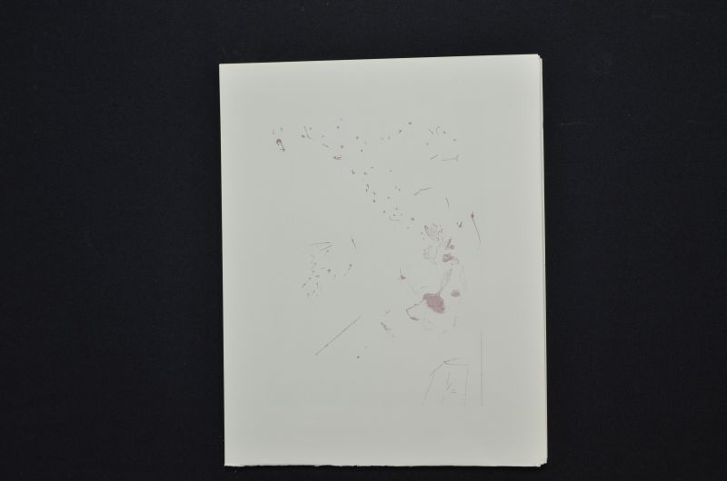 S/T (Rencontre de deux troupes de luxurieux)