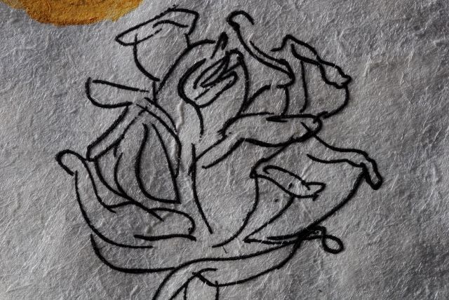 Rosa Papilio  (Rose)