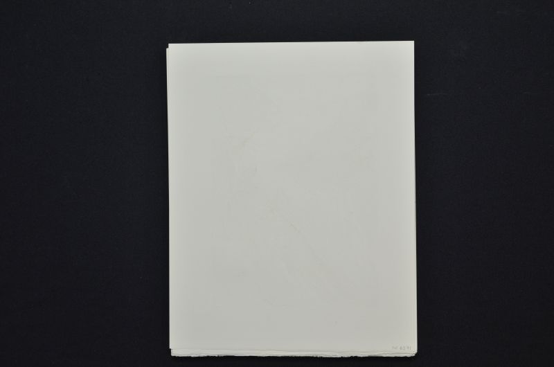 S/T (Rencontre de deux troupes de luxurieux)