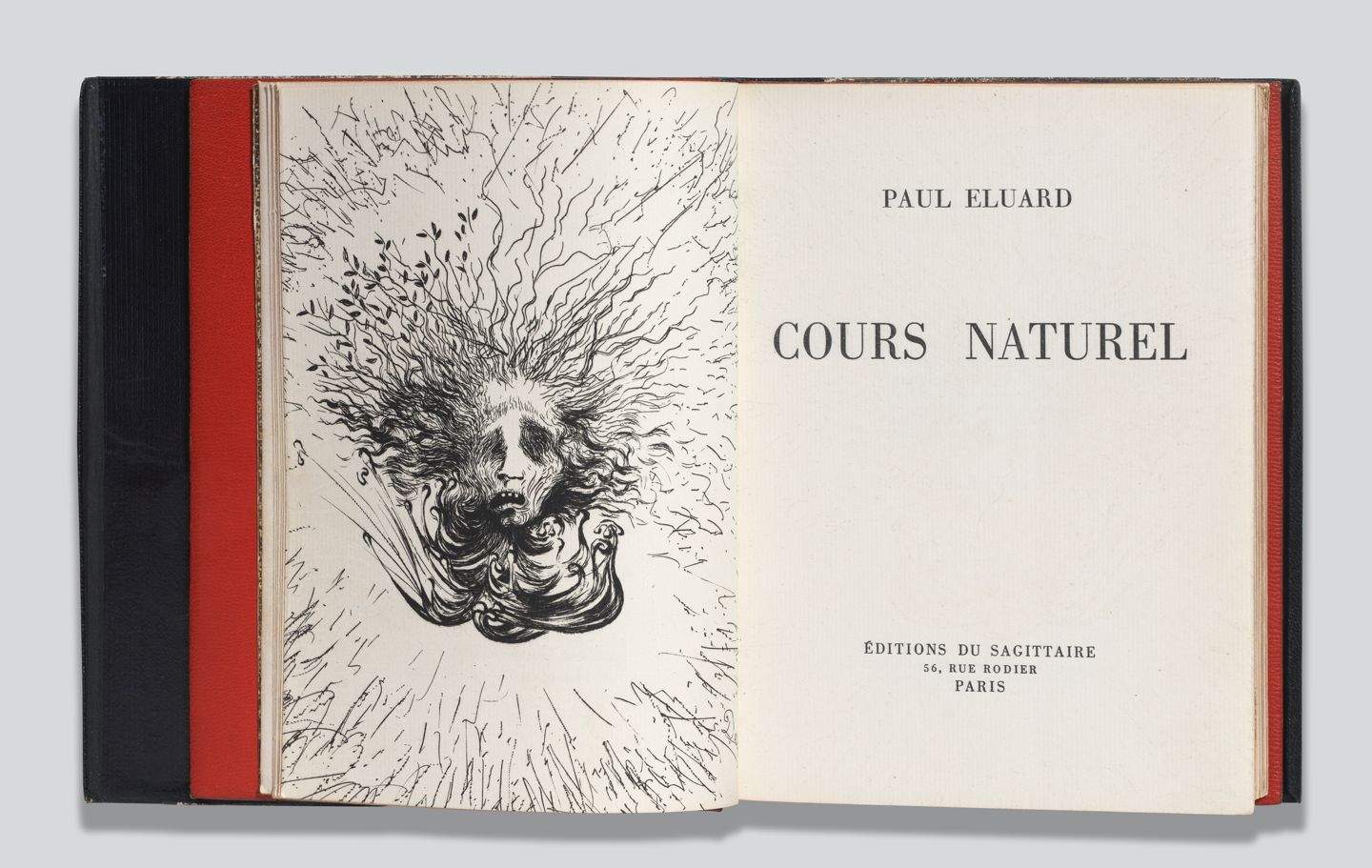 Cours naturelFrontispici