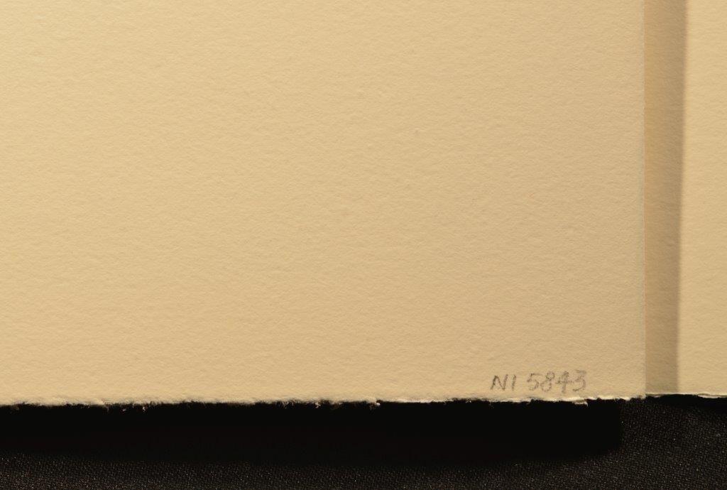 The mock turtle's story