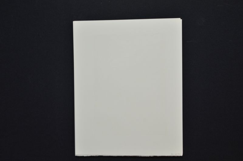 S/T (Rencontre de deux troupes de luxurieux)